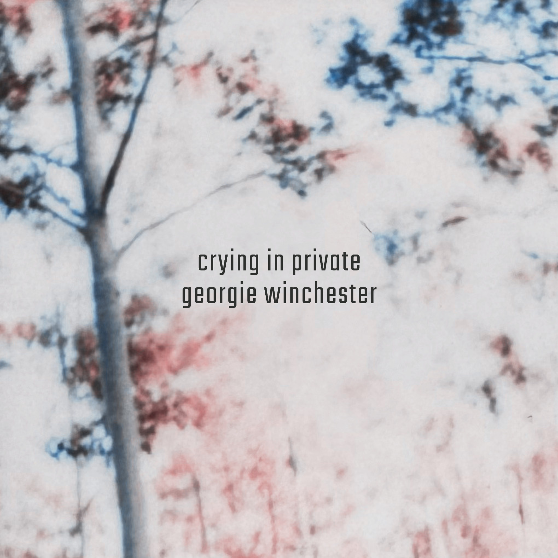 Crying In Private Single Cover